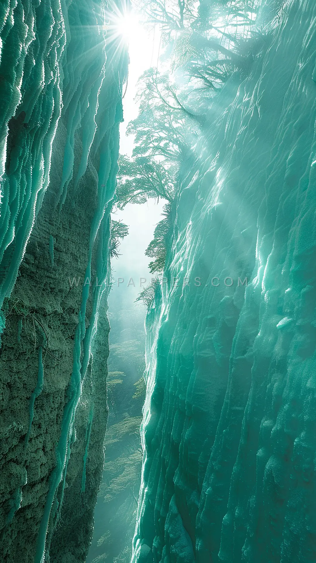 Valdivian Rainforest Depths, AI-generated forest phone wallpaper