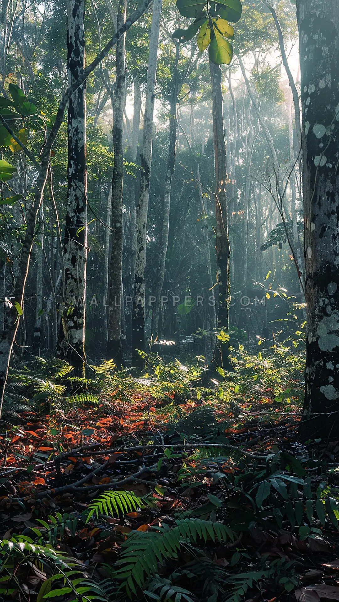 Misty Yucatan Forest, AI-generated forest phone wallpaper