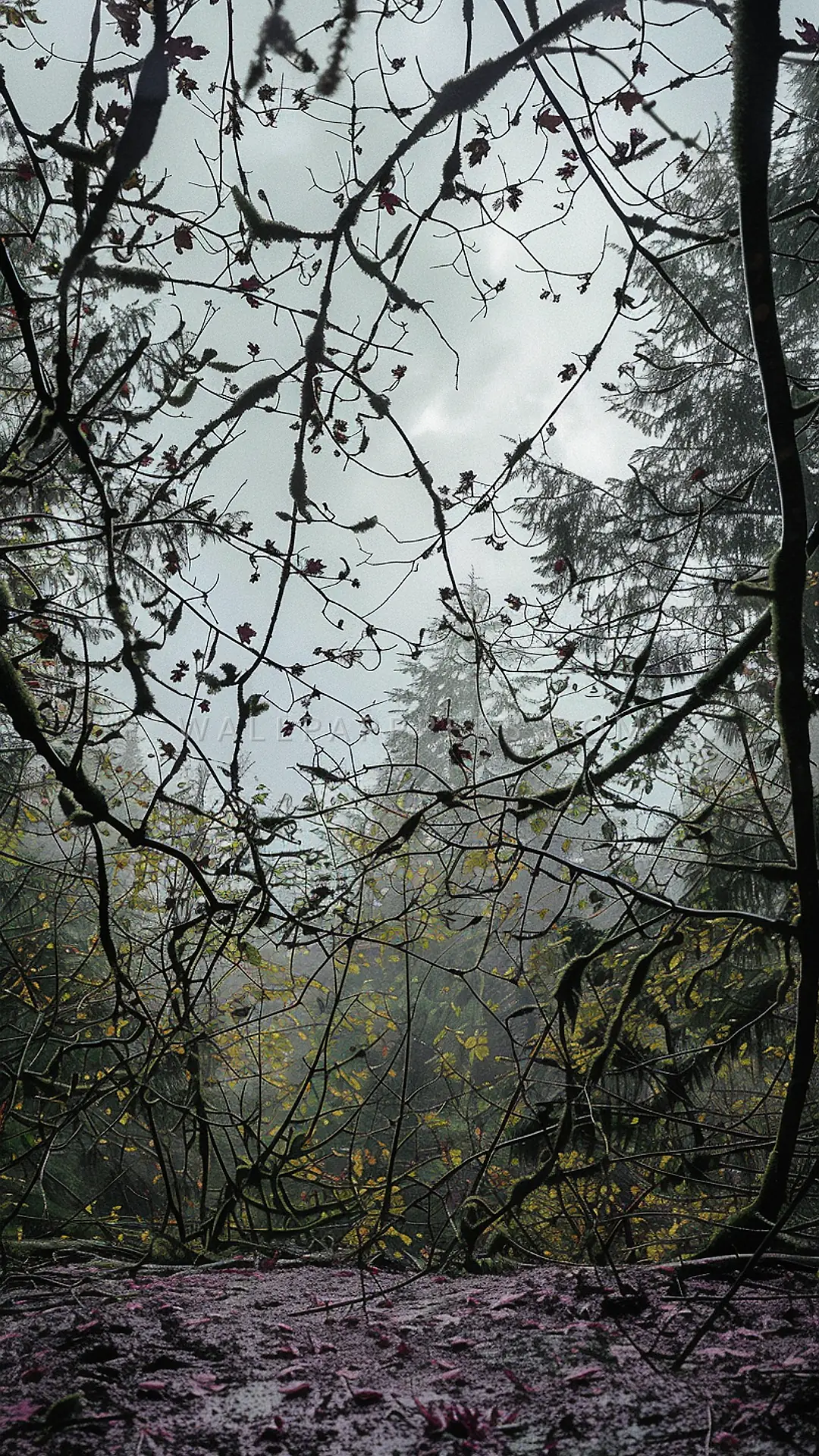 Autumn Rainforest Scene, AI-generated nature phone wallpaper