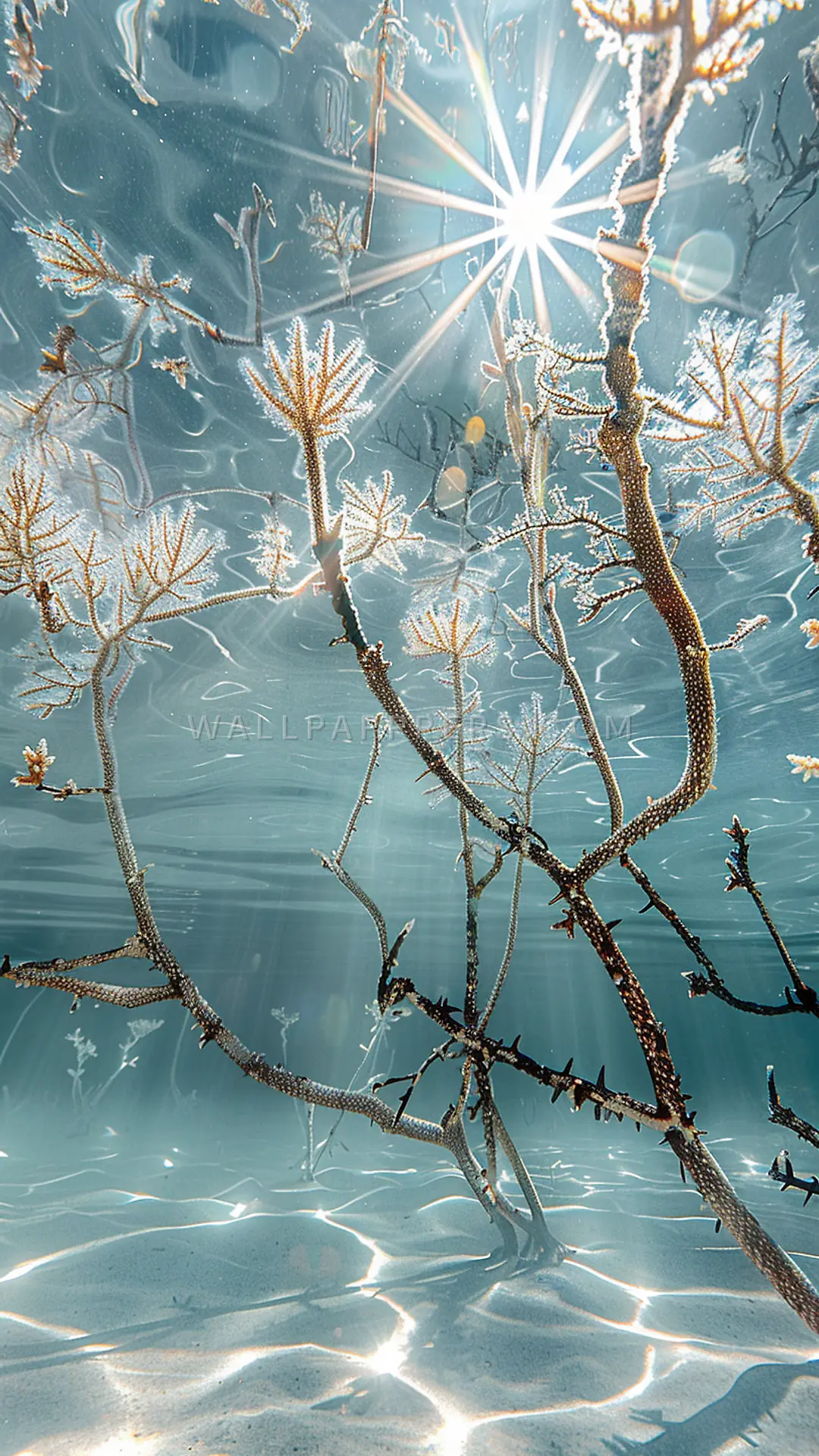 Coral Branches in Lagoon, AI-generated underwater phone wallpaper