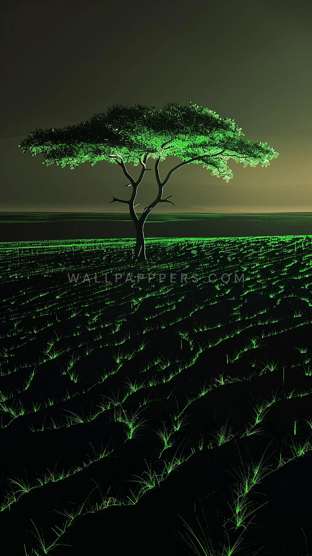 Serengeti Tree at Dusk, AI-generated nature phone wallpaper