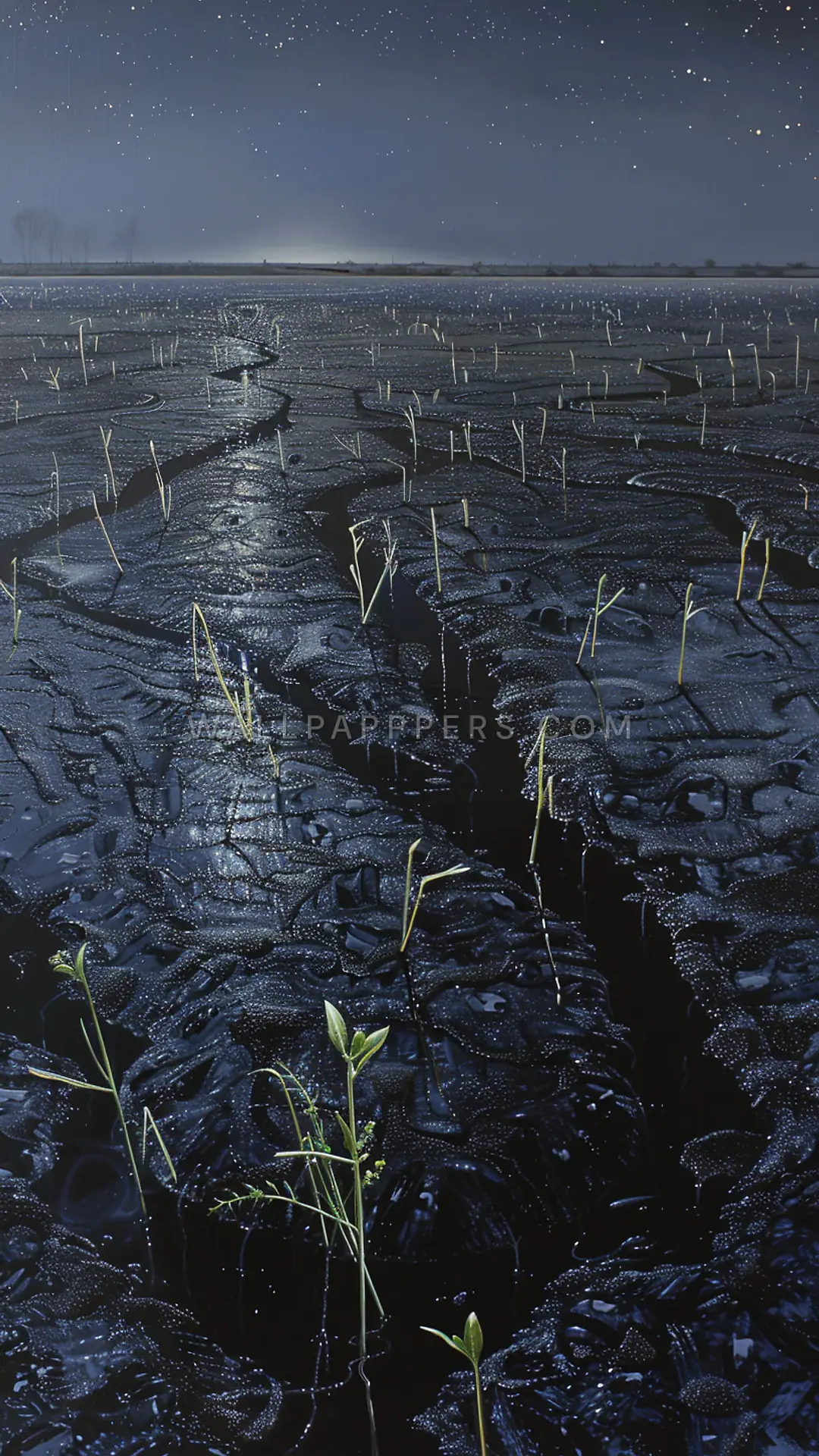 Sudd Wetlands at Night, AI-generated nature phone wallpaper