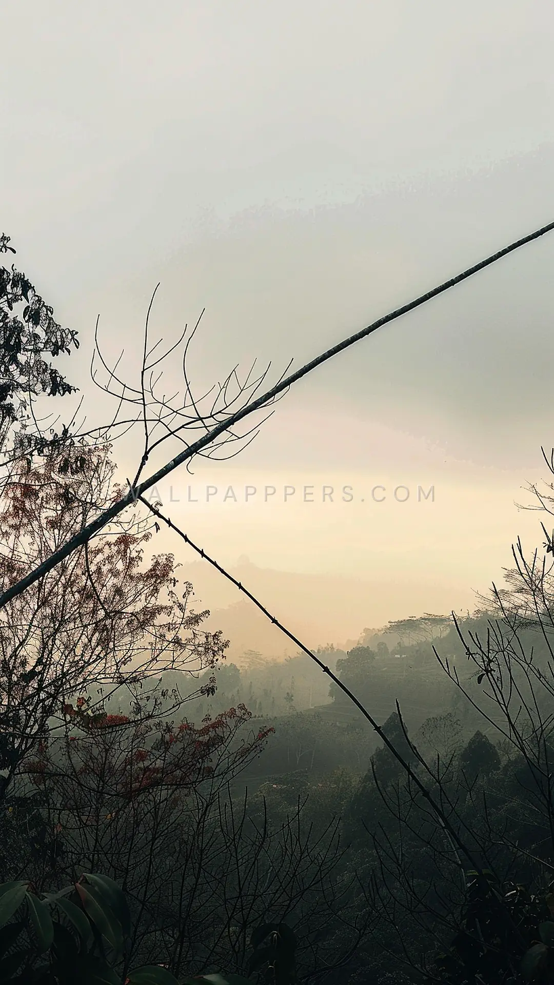 Approaching Squall in Bali Highlands, AI-generated nature phone wallpaper