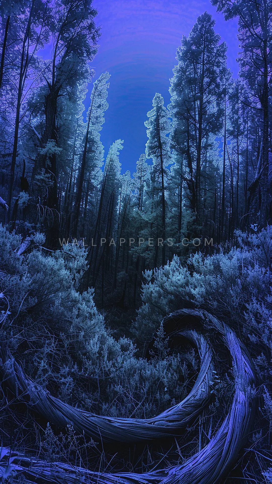 Warped Wood and Underbrush, AI-generated forest phone wallpaper