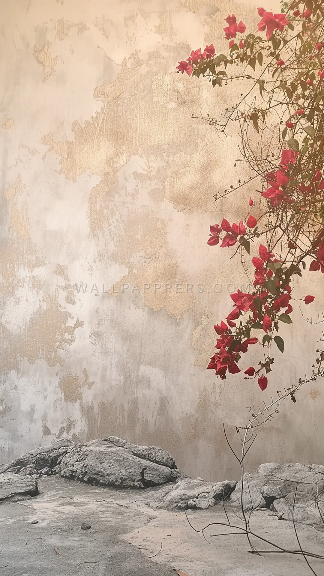 Bougainvillea Against Textured Wall, AI-generated minimalist phone wallpaper